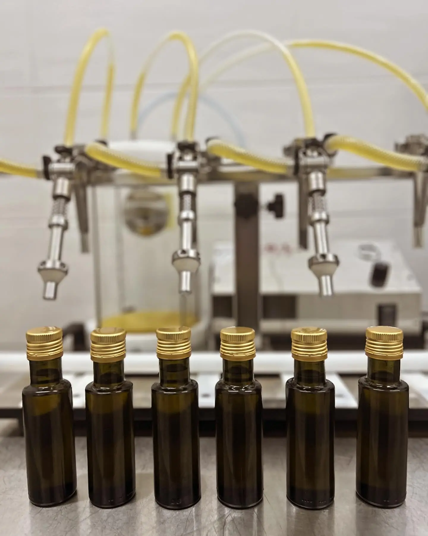 pizanias olive oil bottling