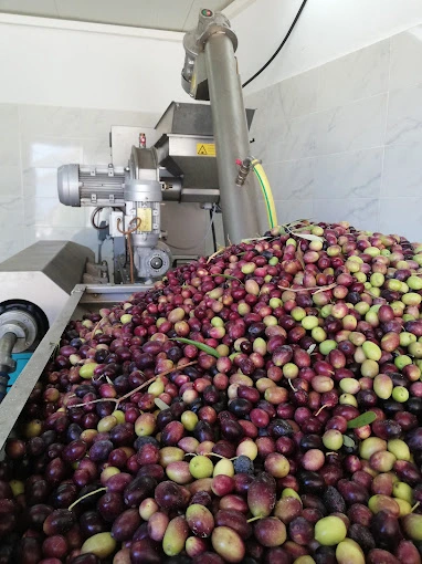 pizanias machinery