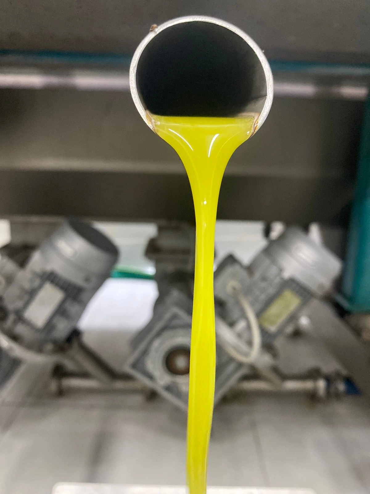 pizanias olive oil extraction