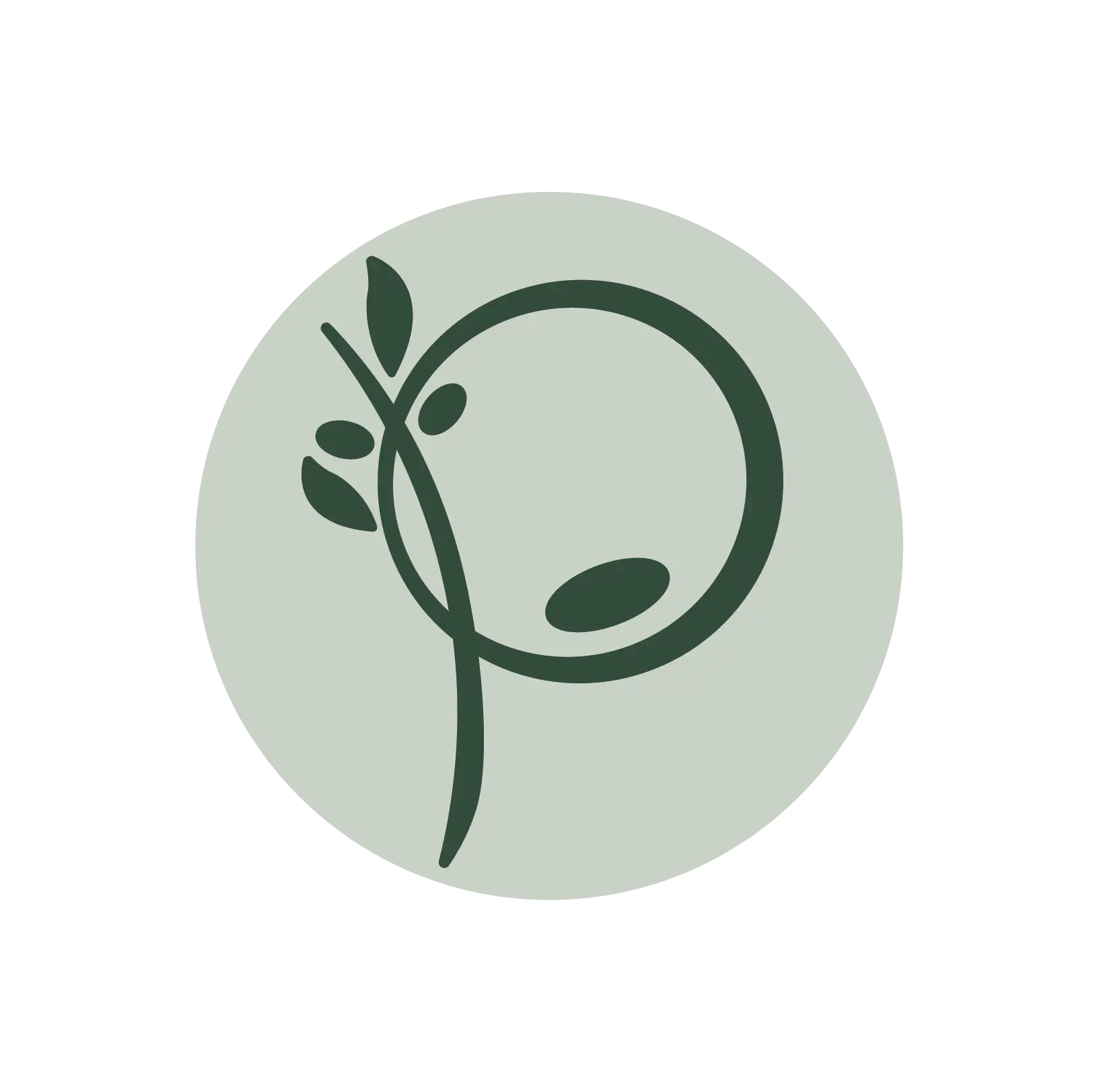 pizanias olive oil logo no text